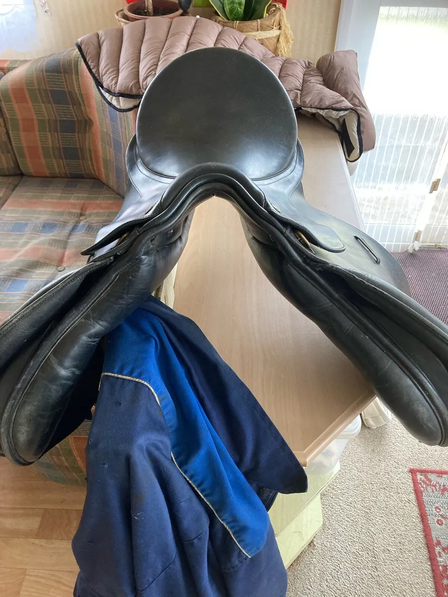 Bates saddle - Image 2
