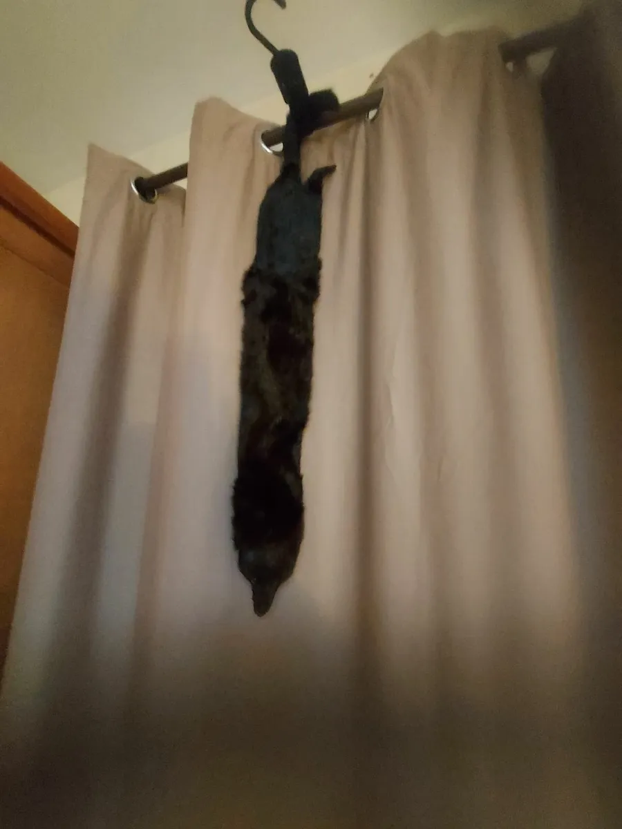 Nice collar of genuine mink, inherited≠ver used - Image 2