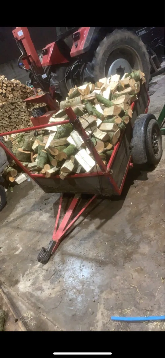 Firewood sticks - Image 3