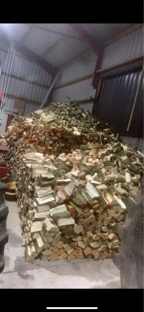 Firewood sticks - Image 1