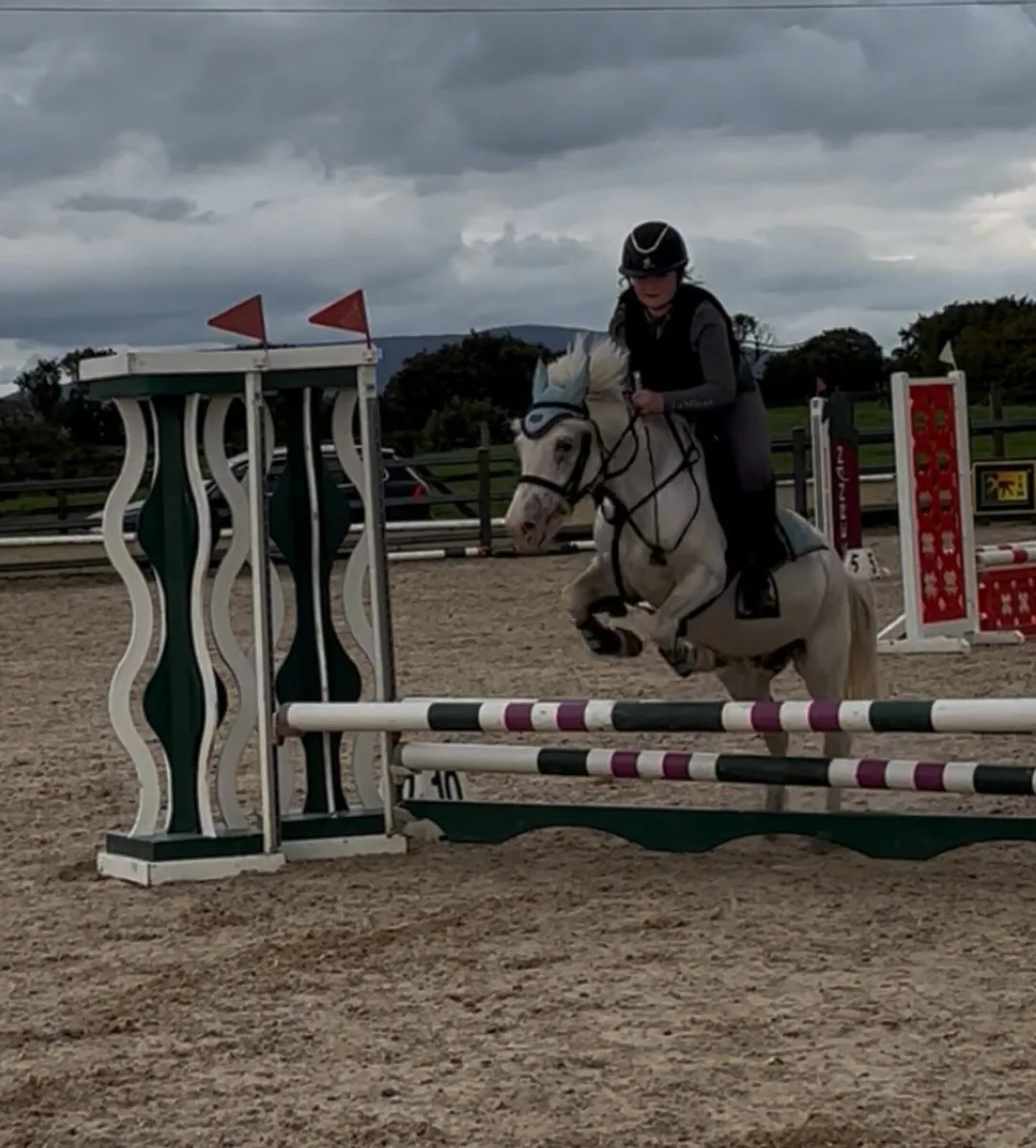 12h fun sized superstar 13 yo - Image 2