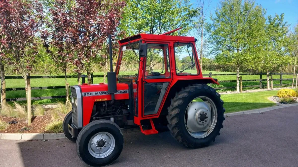 MF 250 - Image 1