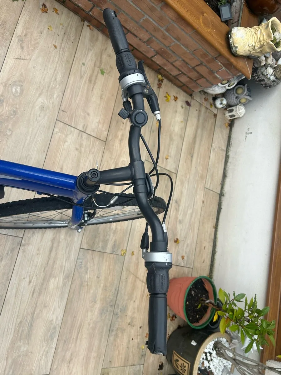 Bike - Image 3
