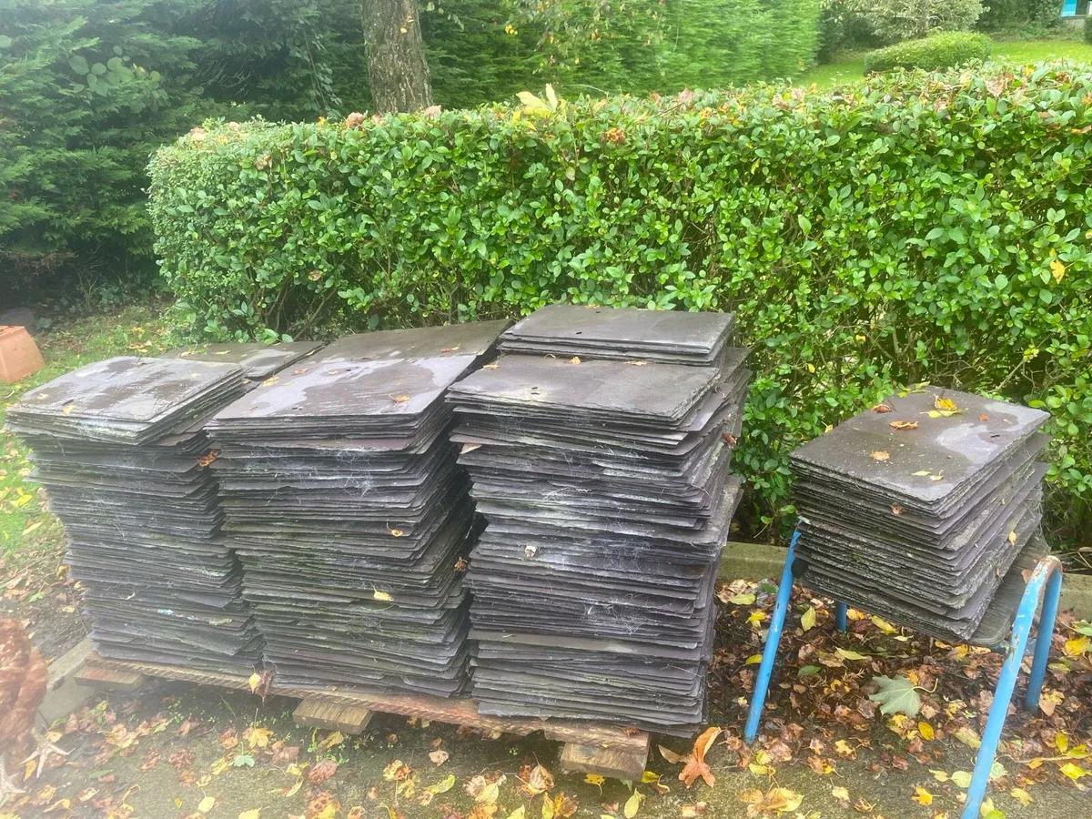 Blue  Bangor slates