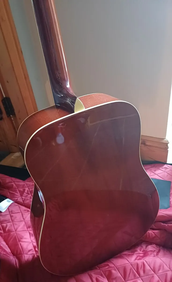Freshman Maple Acoustic Guitar - Image 2