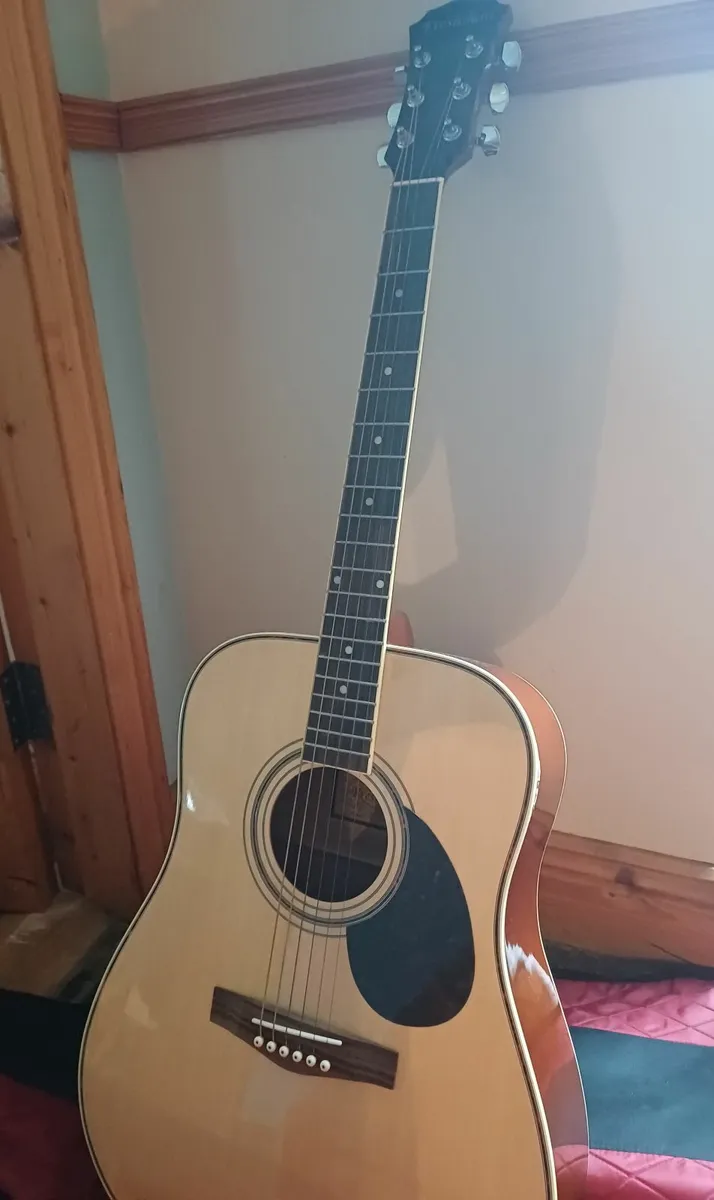 Freshman Maple Acoustic Guitar - Image 3