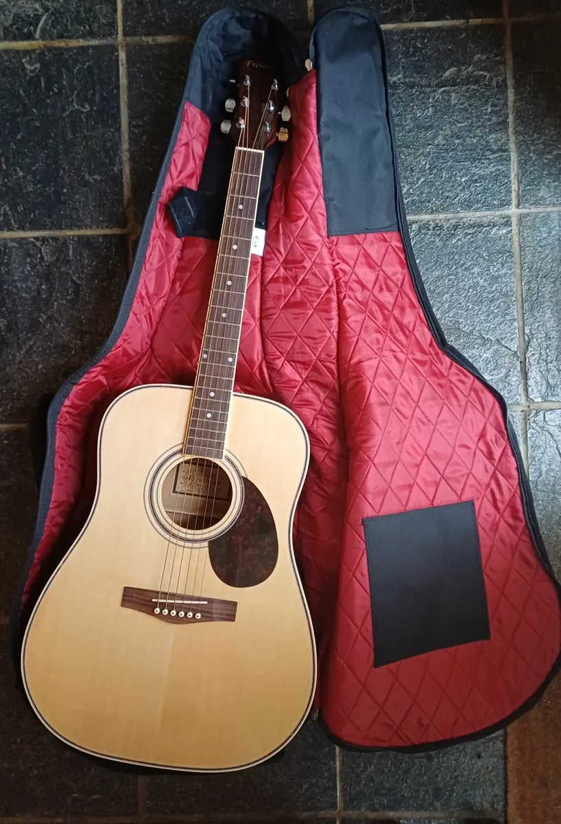 Freshman Maple Acoustic Guitar - Image 1