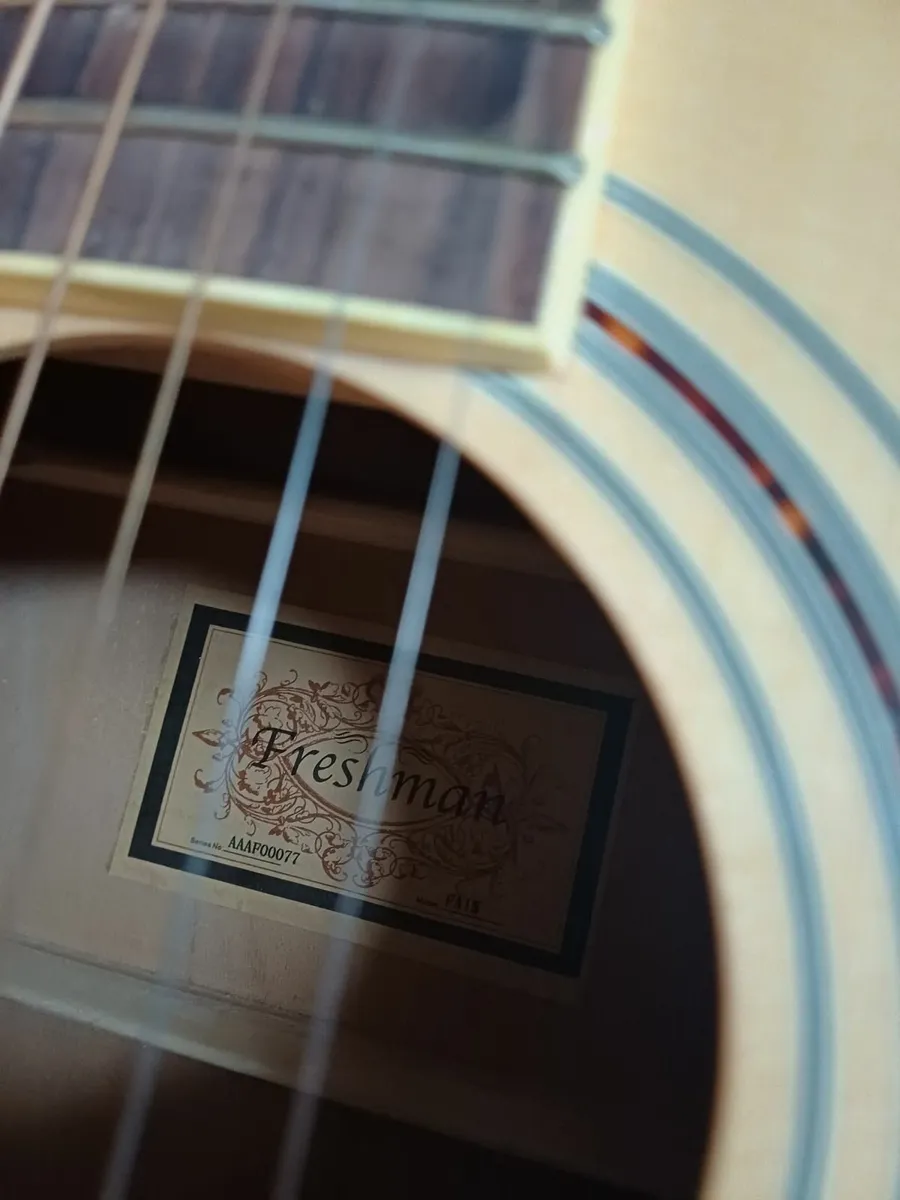 Freshman Maple Acoustic Guitar - Image 4