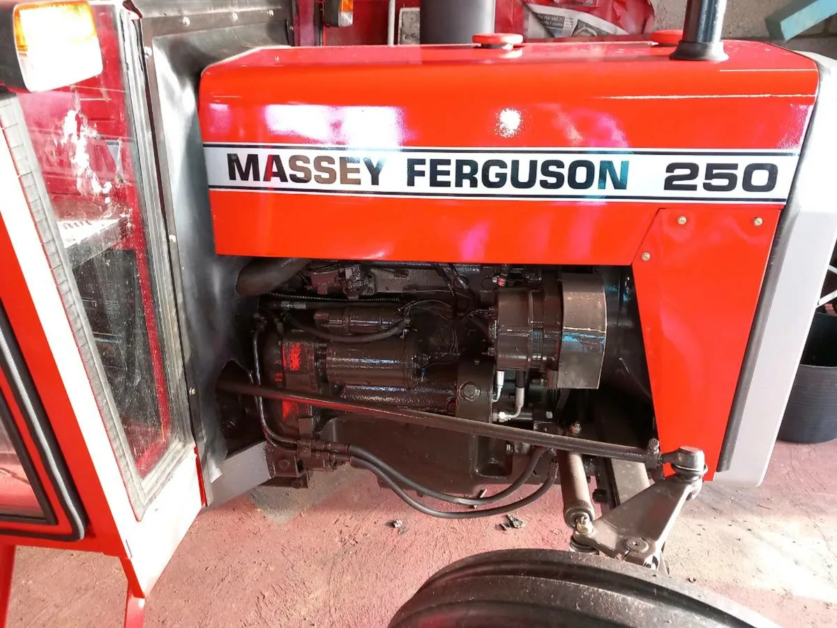 MF 250 - Image 2