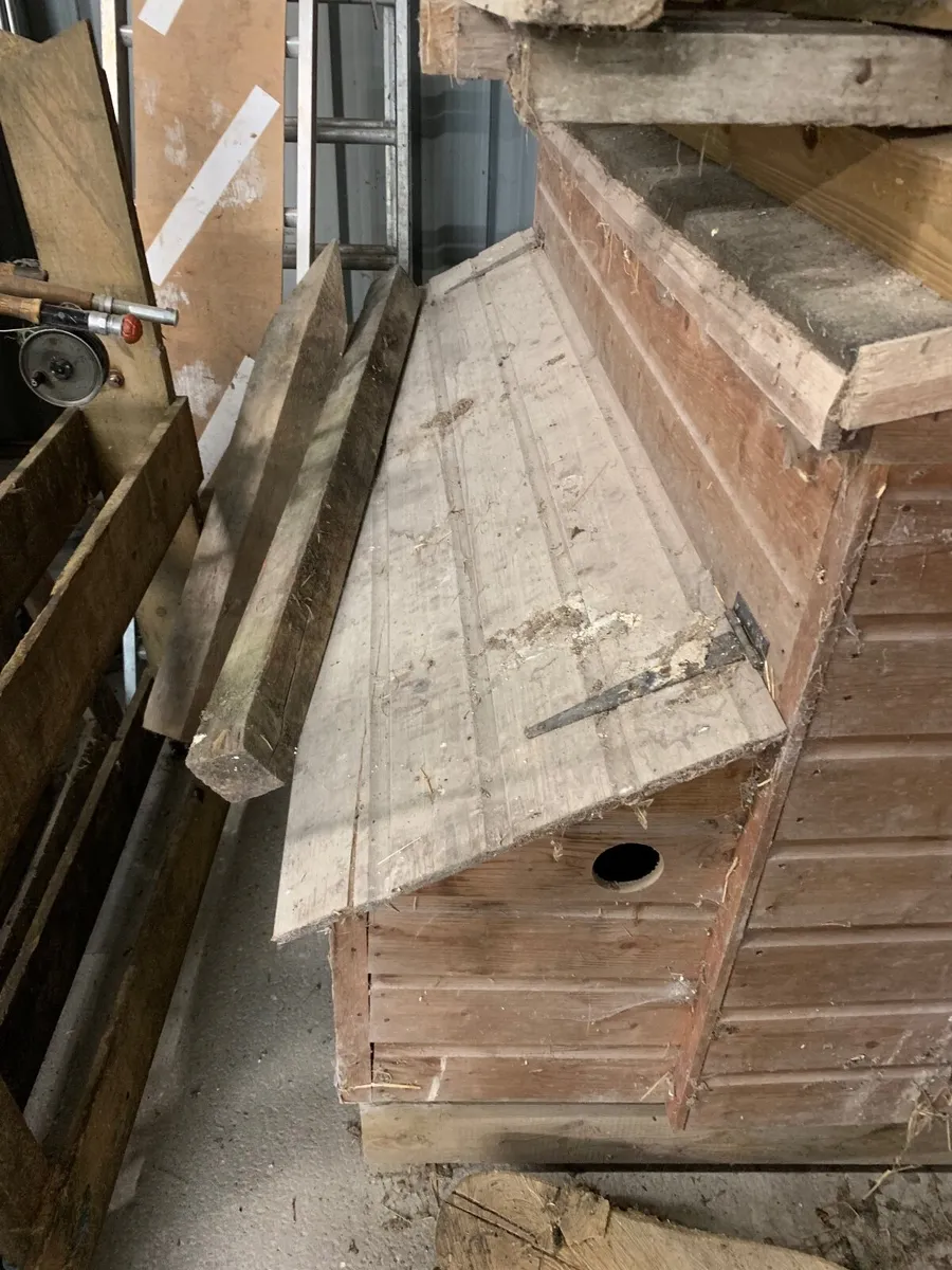 Hen House - Image 2
