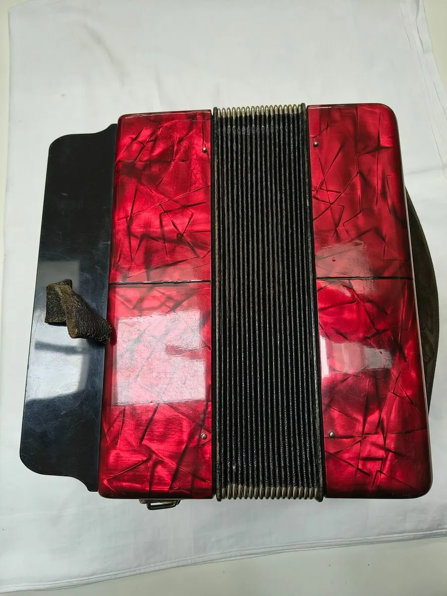 Hohner Black dot Double-Ray Button Accordion - Image 4