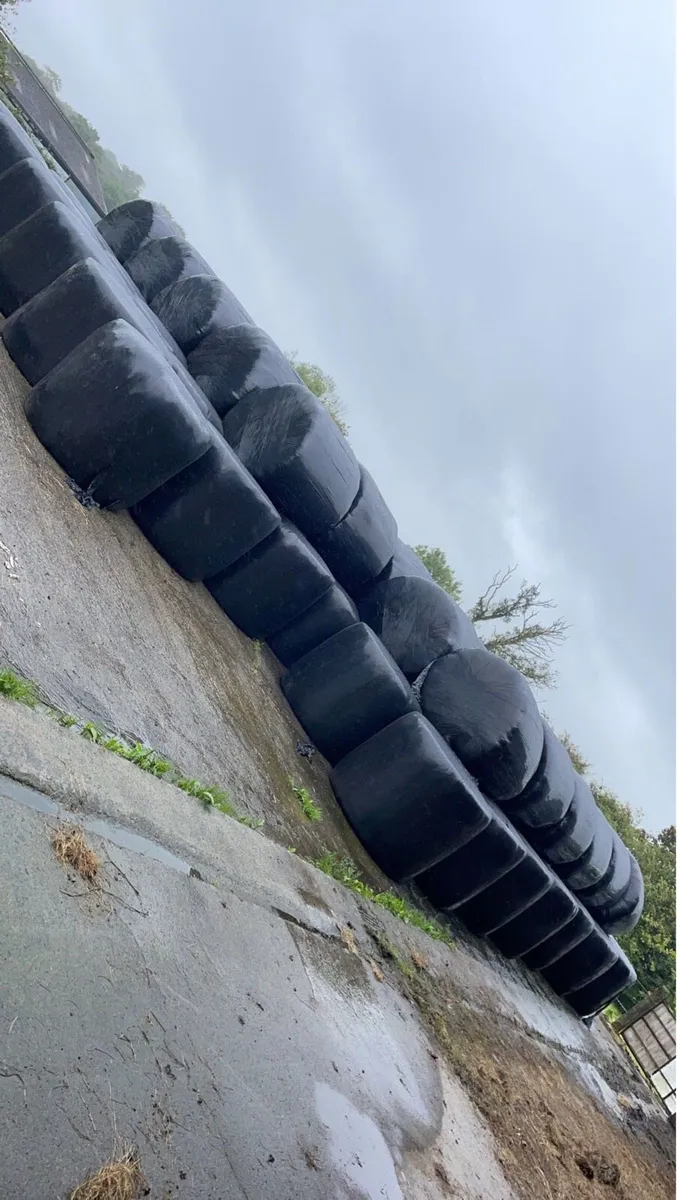 Silage - Image 1