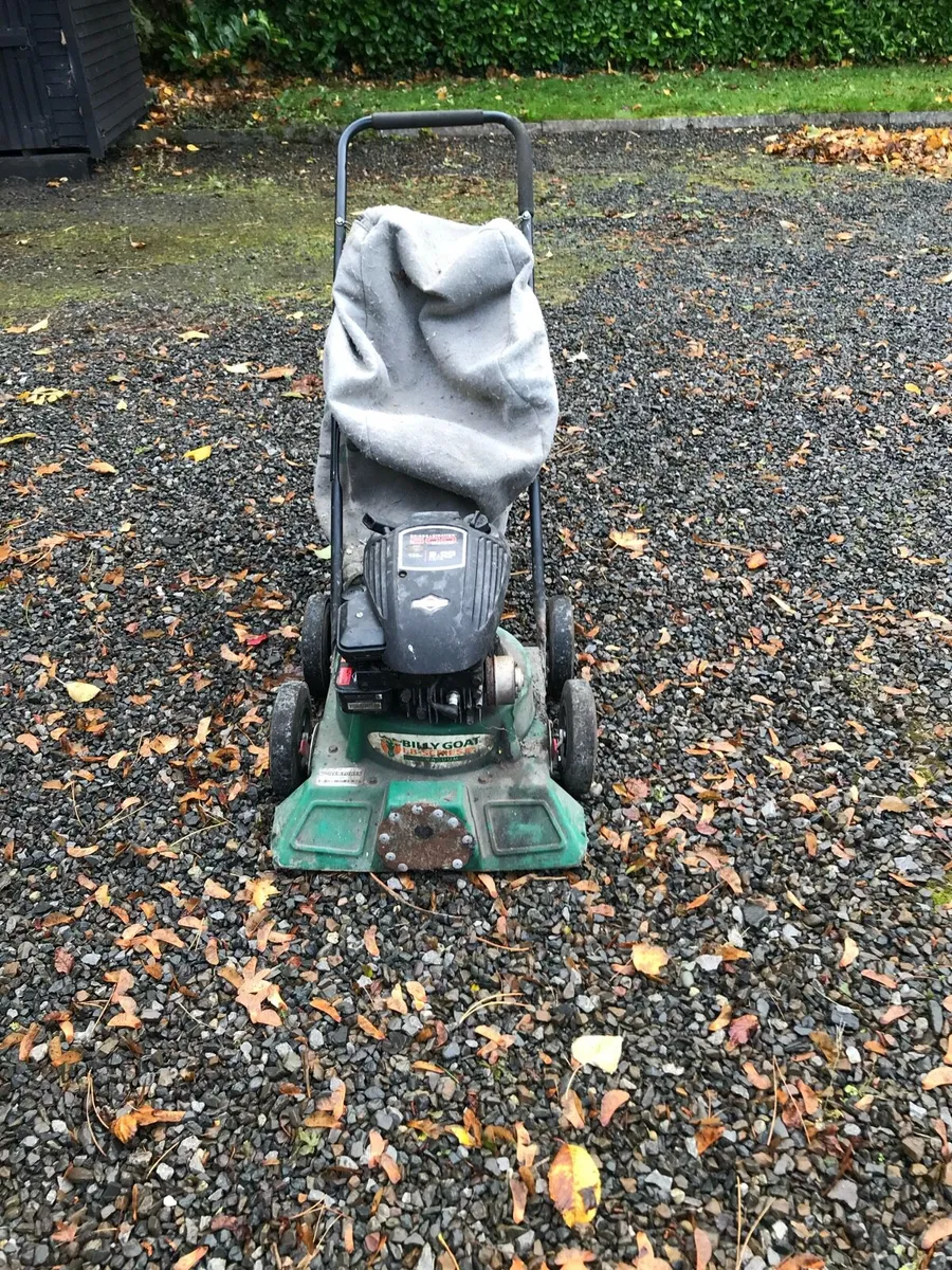 Leaf vacuum - Image 1