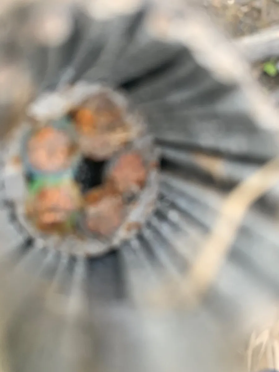 Cable - Image 1