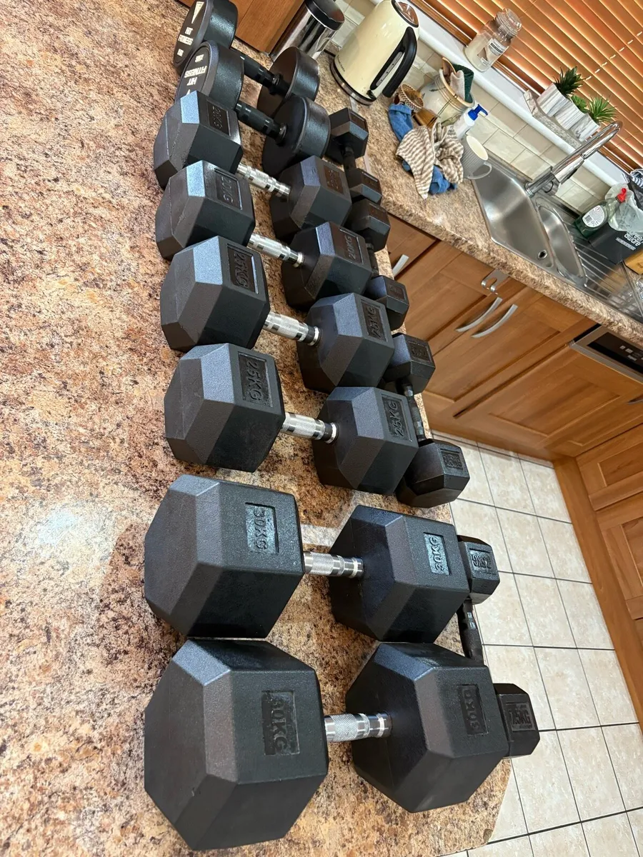 COMMERCIAL RUBBER DUMBBELLS - CHEAP SET!!! - Image 2