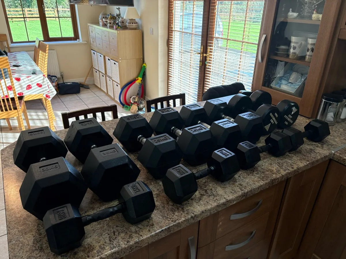 COMMERCIAL RUBBER DUMBBELLS - CHEAP SET!!! - Image 1