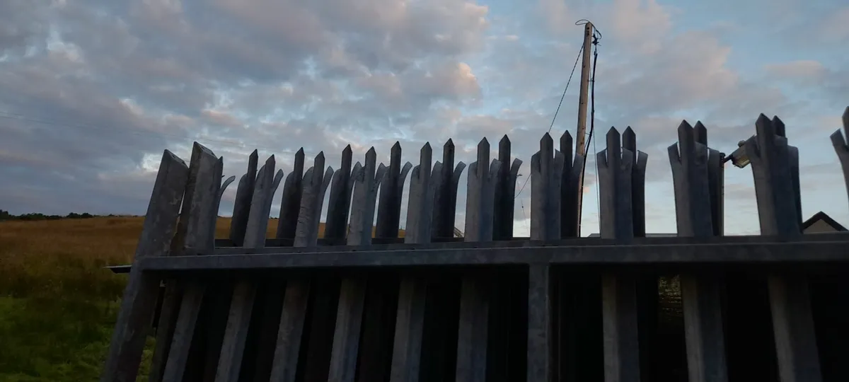 Large galvanised security gates Gates - Image 4