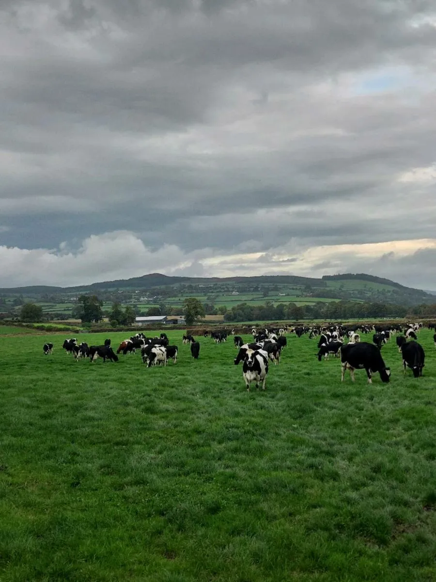 dairy worker