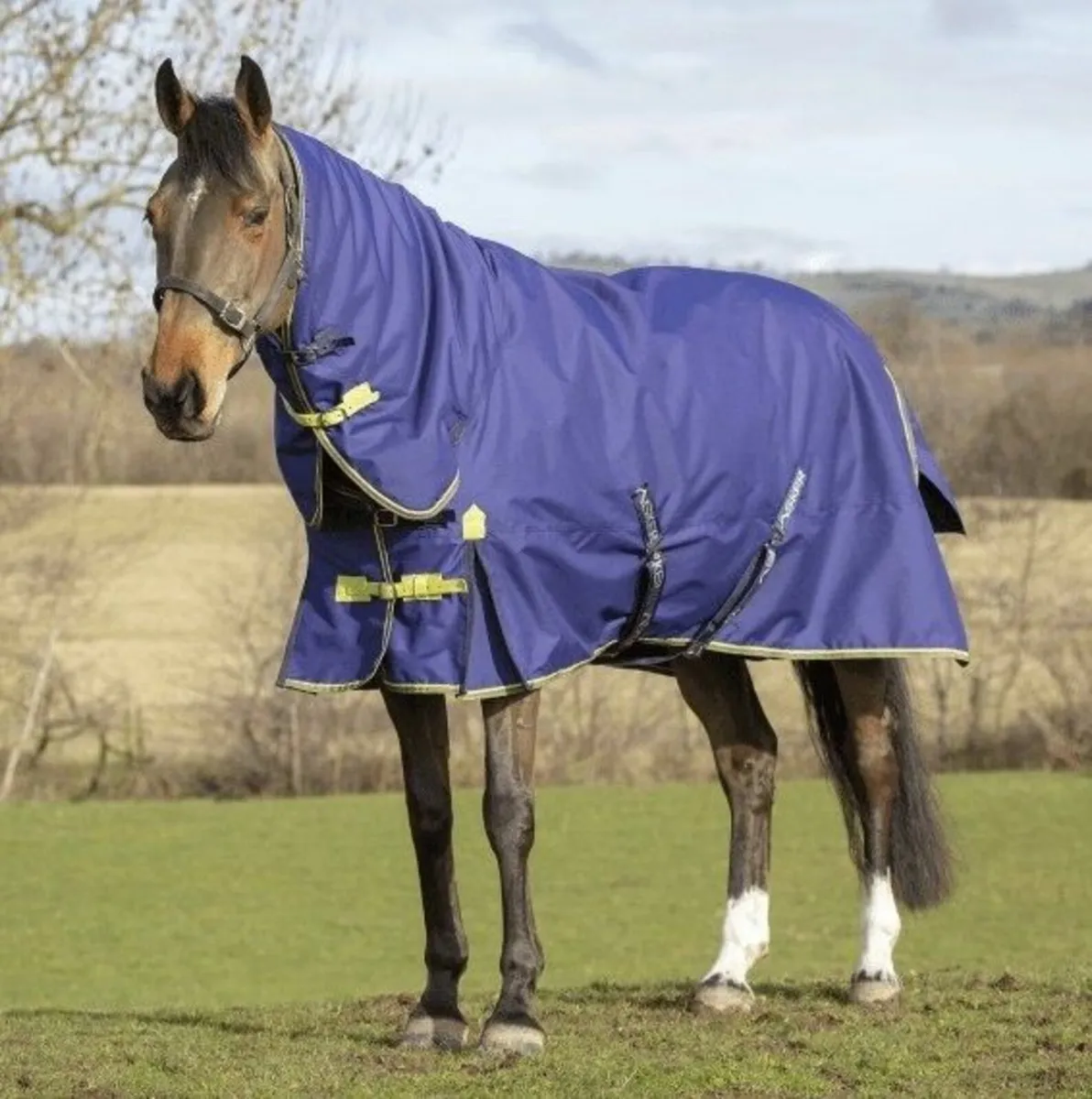 Horse Winter Rugs- Nationwide Delivery - Image 1