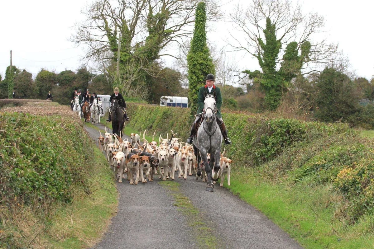 Full Irish draft - Image 4