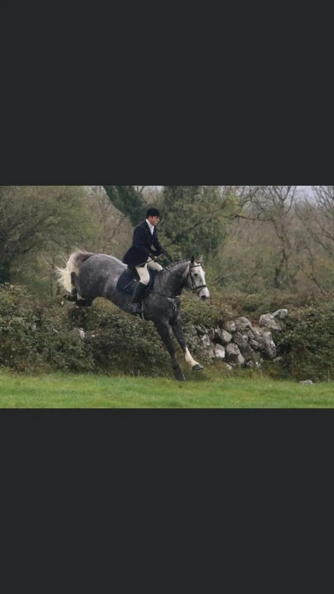 Full Irish draft - Image 1