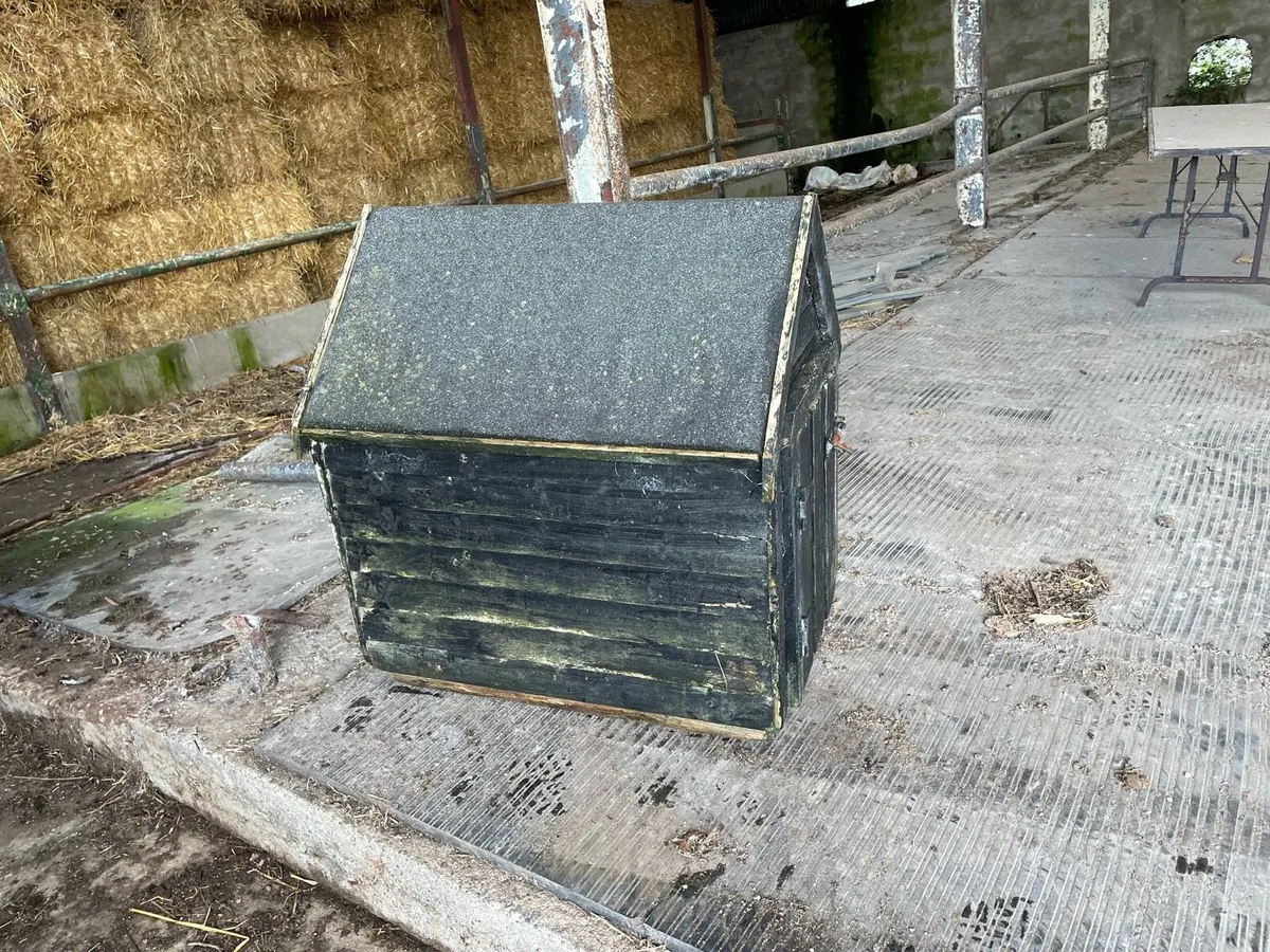 Dog house - Image 4