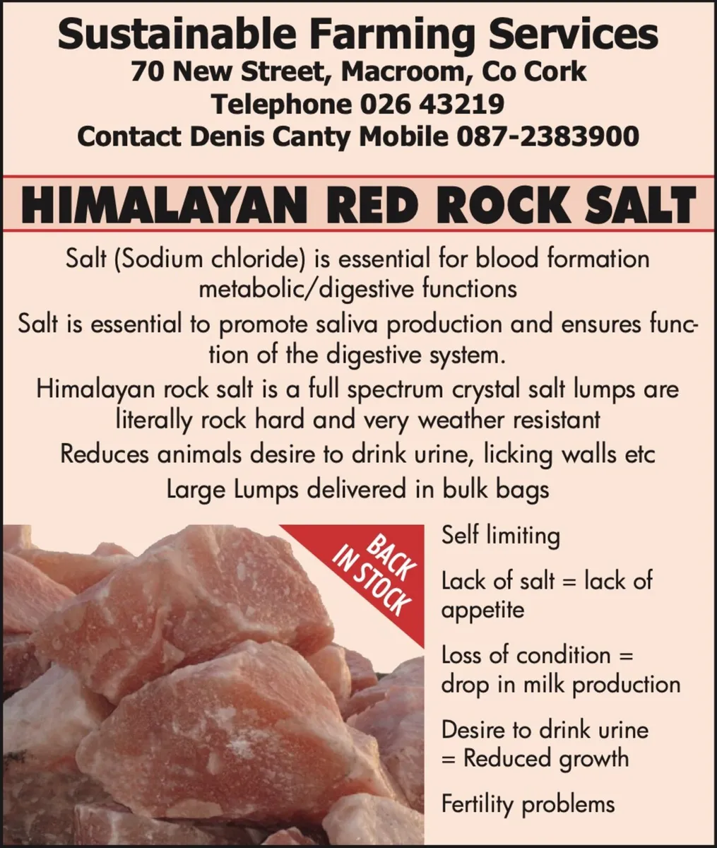 Himalayan Rock Salt - Image 1