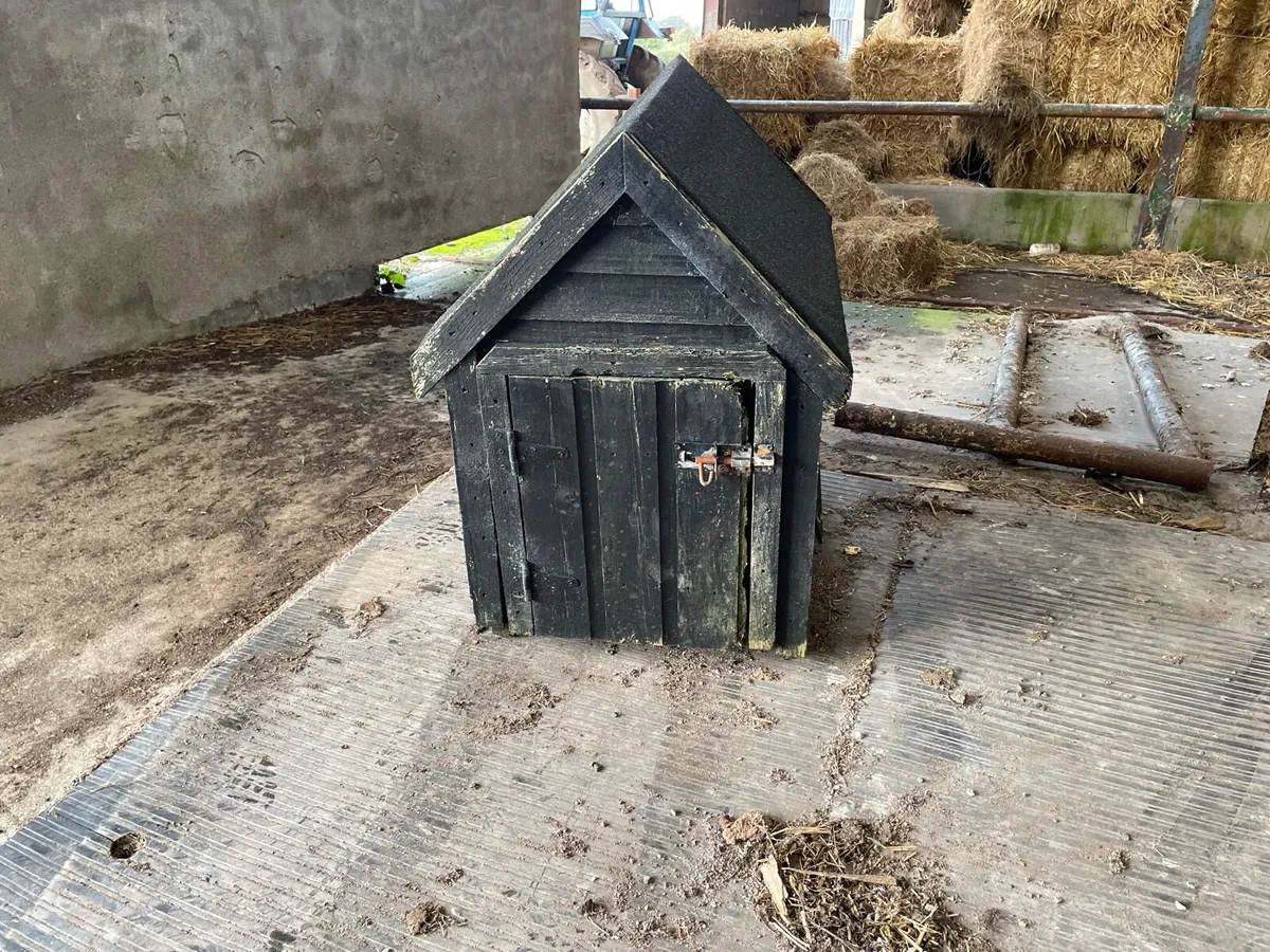 Dog house - Image 2