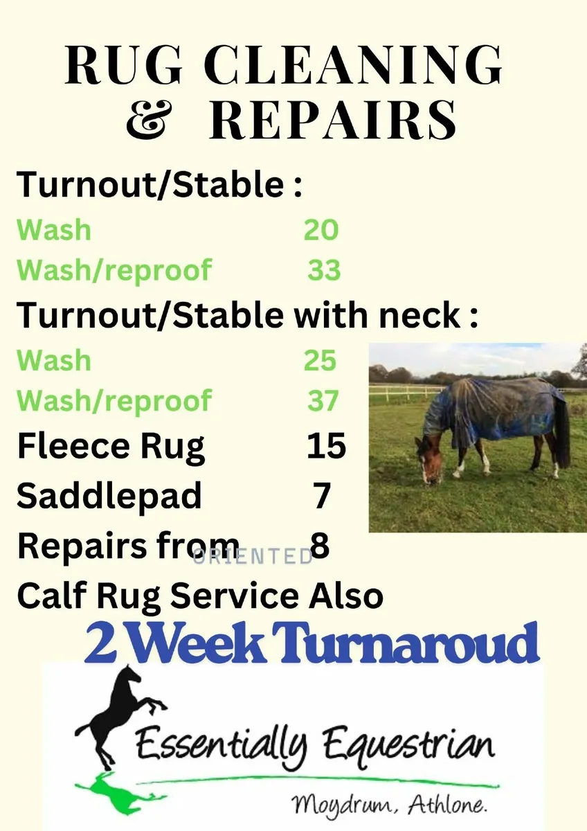 Equine Laundry Service - Image 1