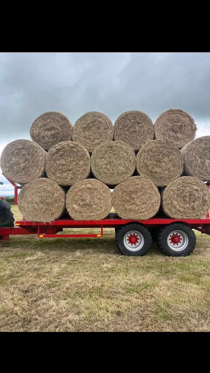 Quality Round Hay - Image 1