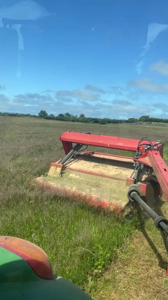 Quality Round Hay - Image 2