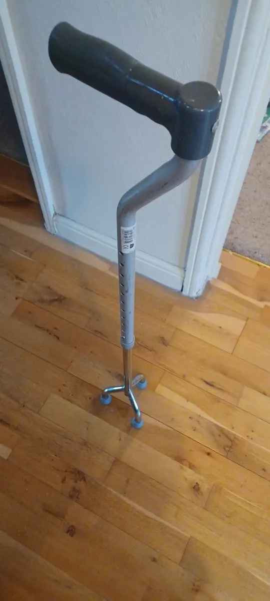 Walking stick - Image 2