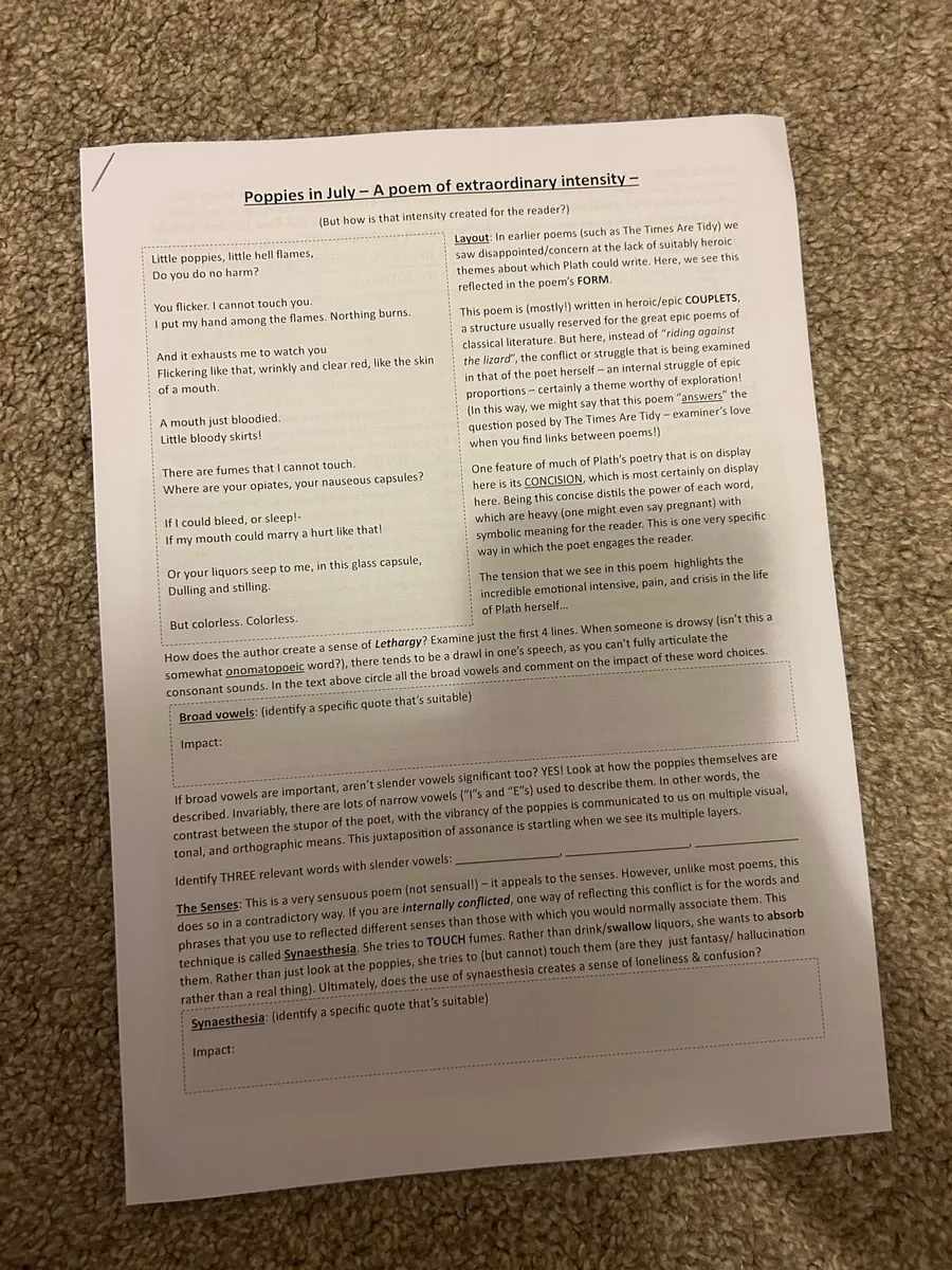 Leaving Cert English - 2025 notes from the IOE - Image 3