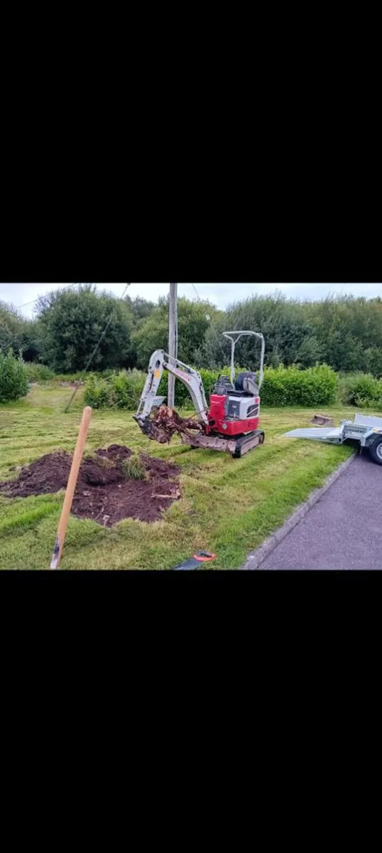 Mini digger with driver - Image 1