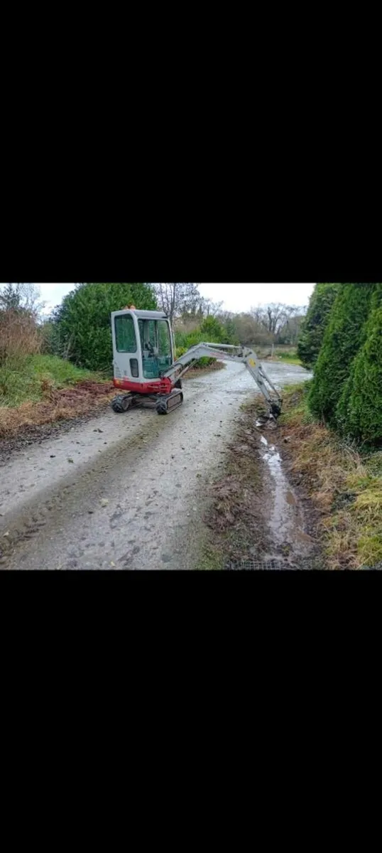 Mini digger with driver - Image 2