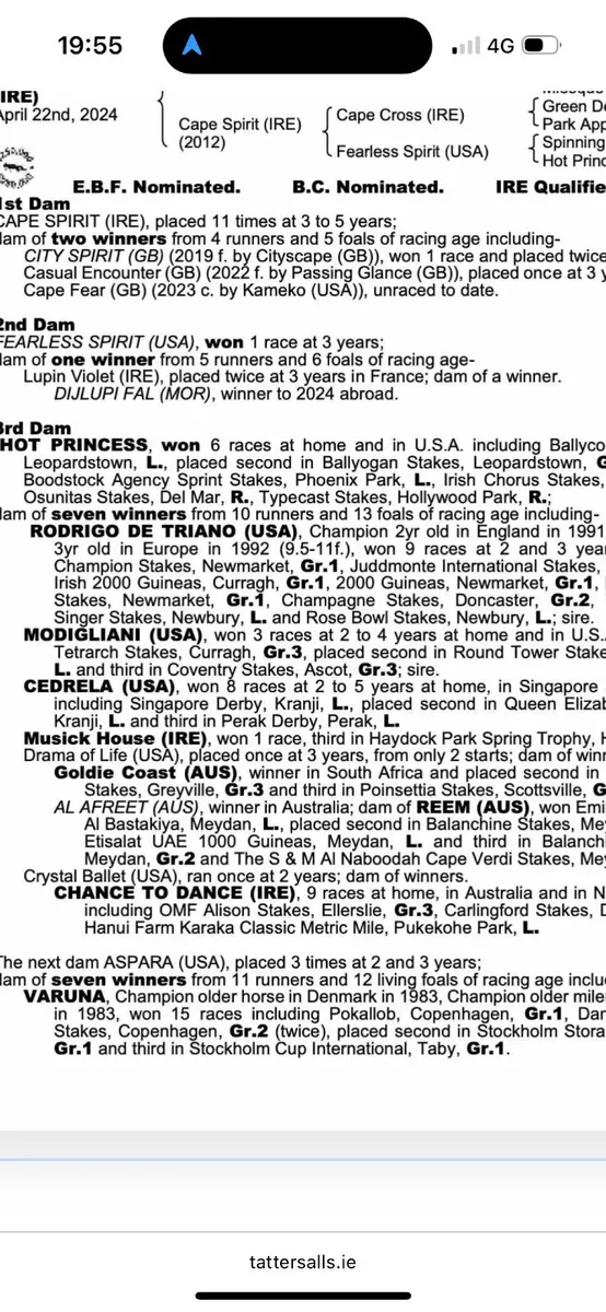 Broodmare cape spirit - Image 1
