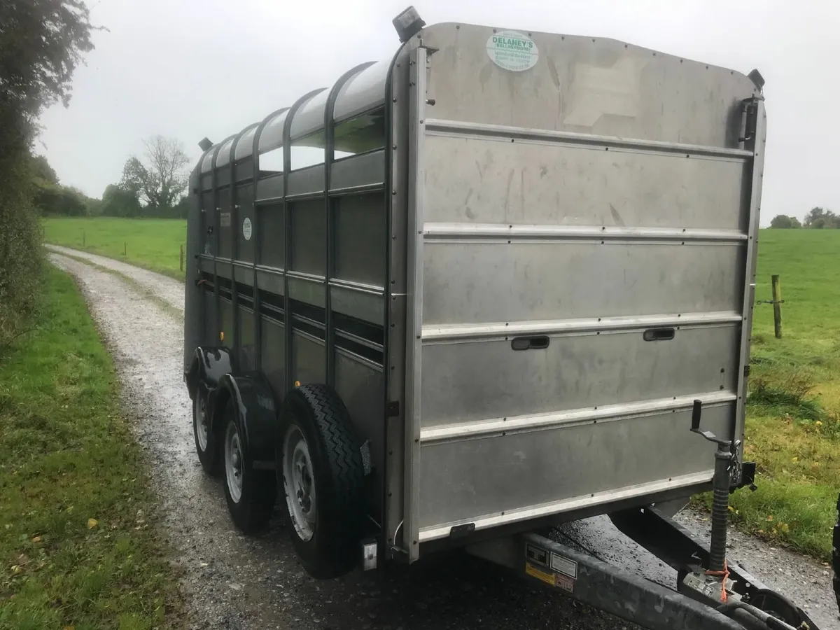 Ifor williams 12 ft cattle trailer TA510G-12 - Image 1