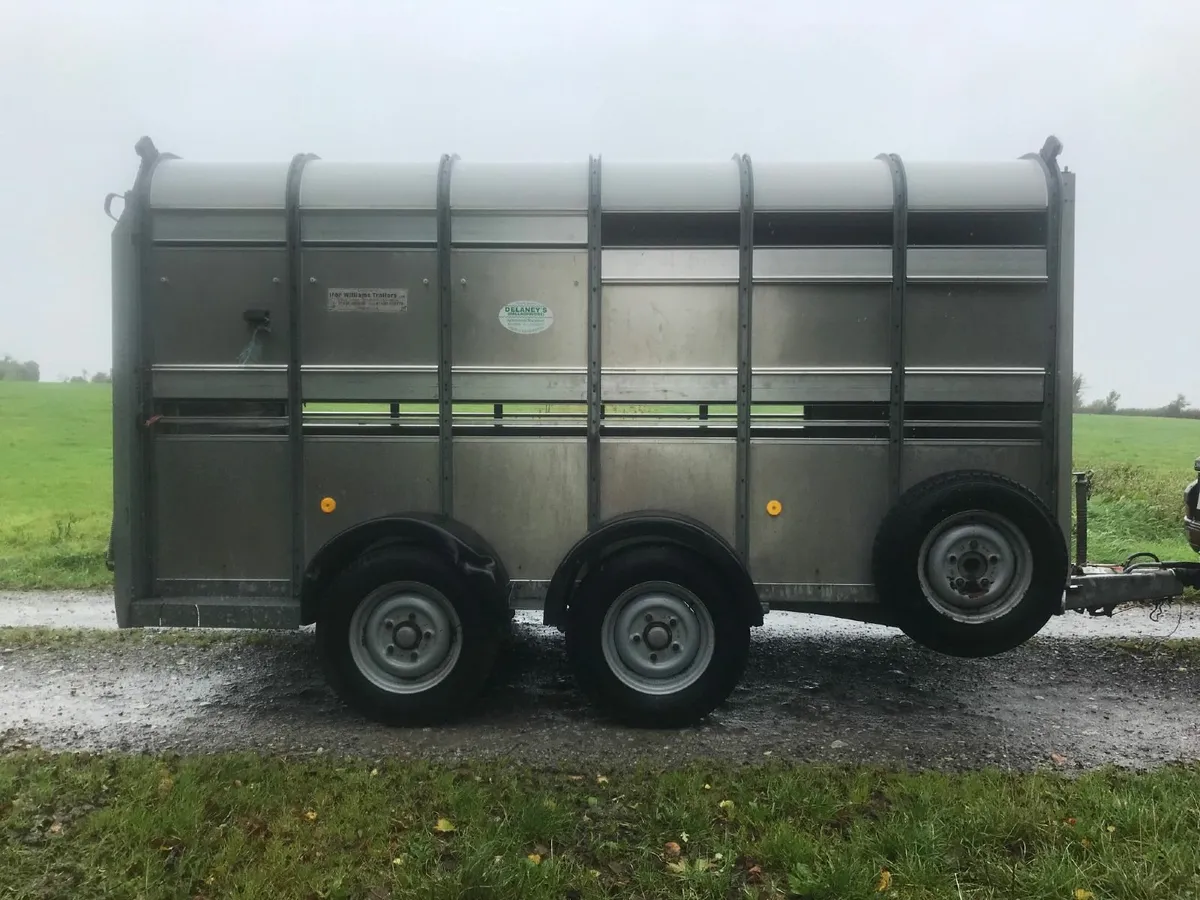 Ifor williams 12 ft cattle trailer TA510G-12 - Image 2