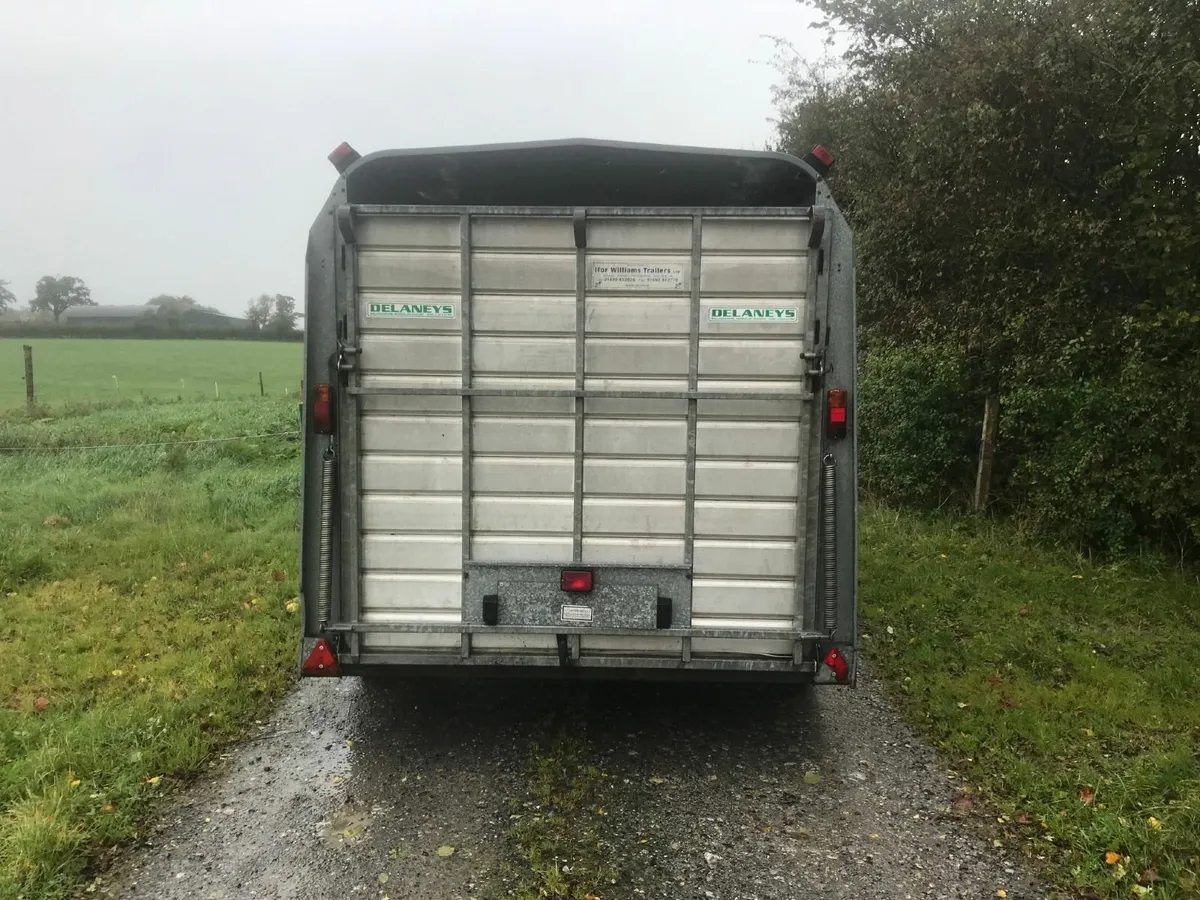 Ifor williams 12 ft cattle trailer TA510G-12 - Image 3