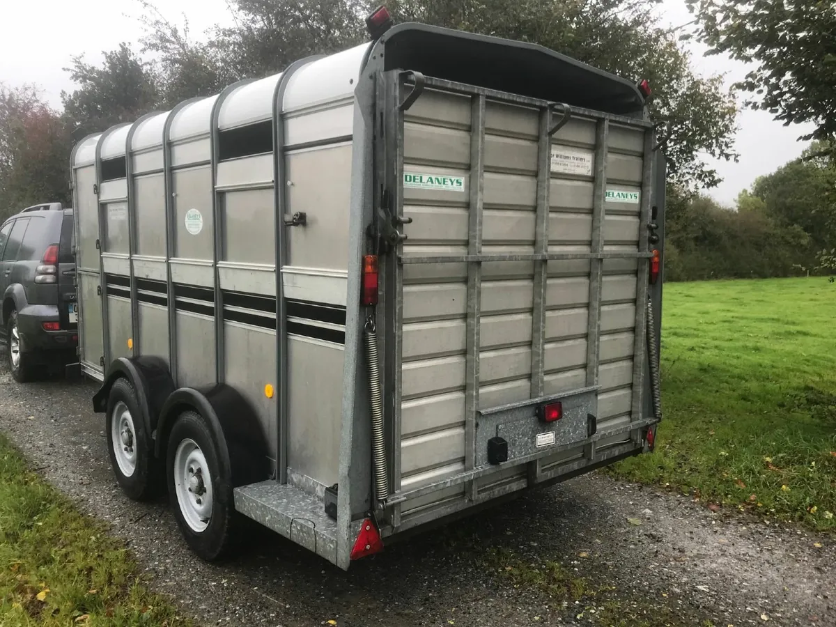 Ifor williams 12 ft cattle trailer TA510G-12 - Image 4