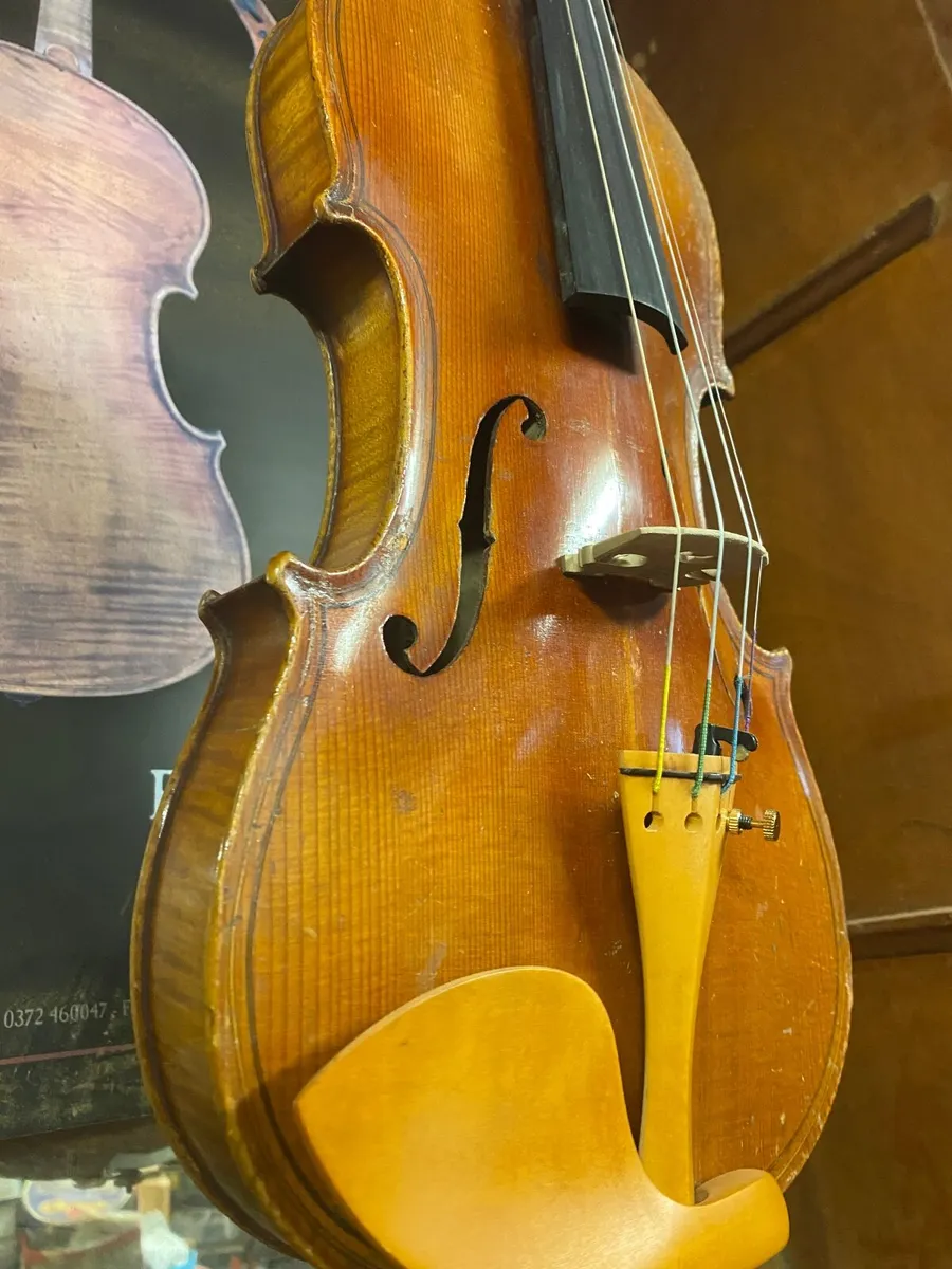 Fiddle - Image 3