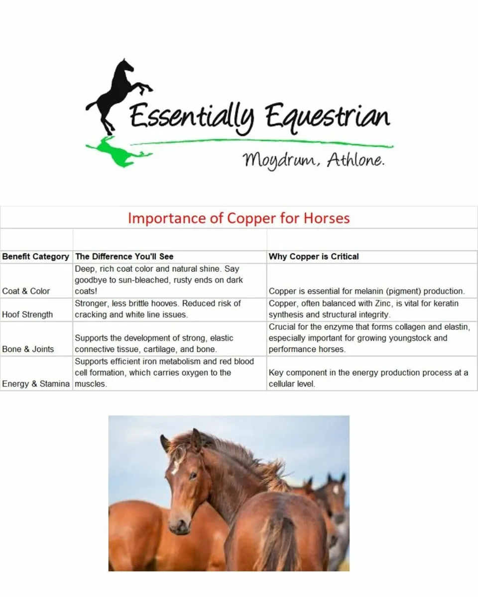 Chelated Copper Syringe - Image 1