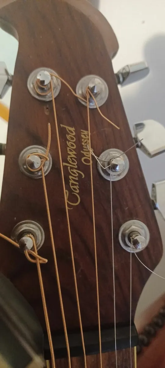Tanglewood Odessy Guitar , Electro acoustic - Image 2