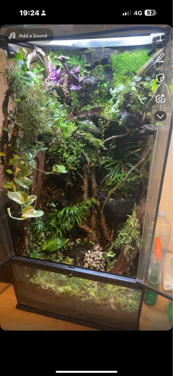 Terrarium - Image 3