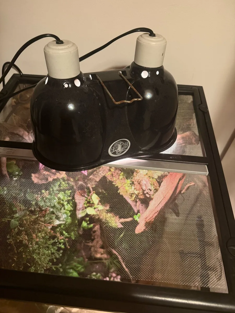 Terrarium - Image 4