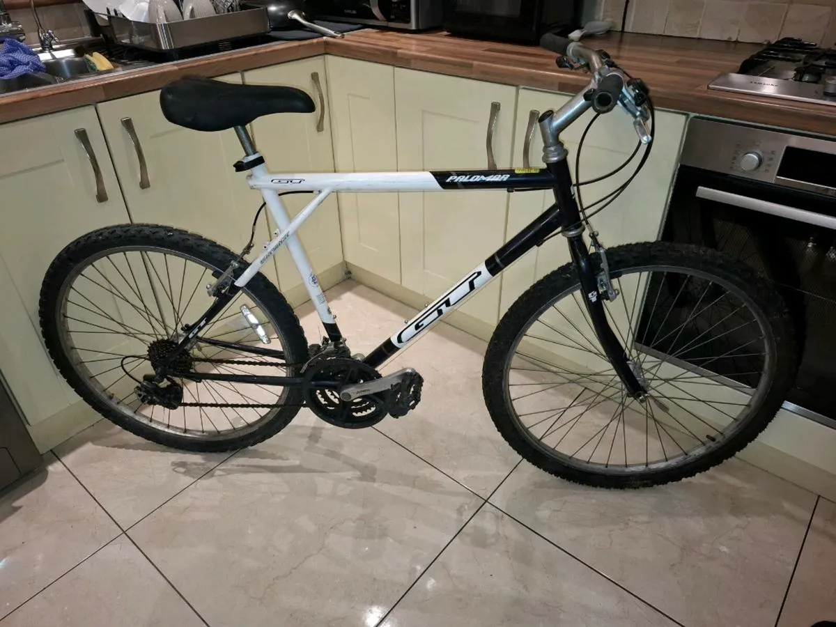 GT Mountain Bike - Image 1