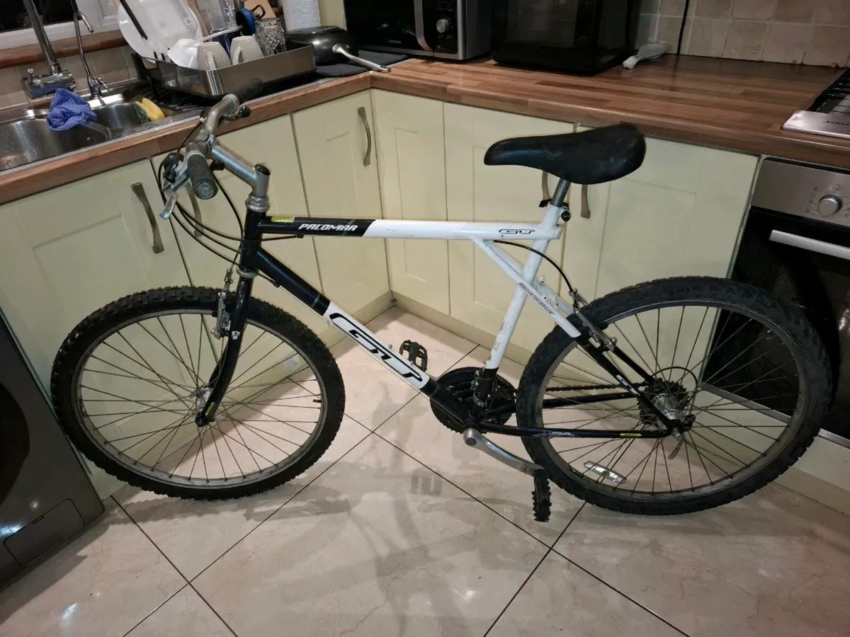 GT Mountain Bike - Image 2