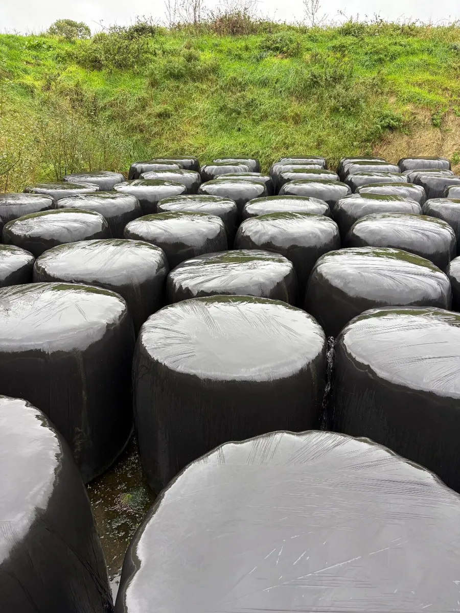 Silage bales