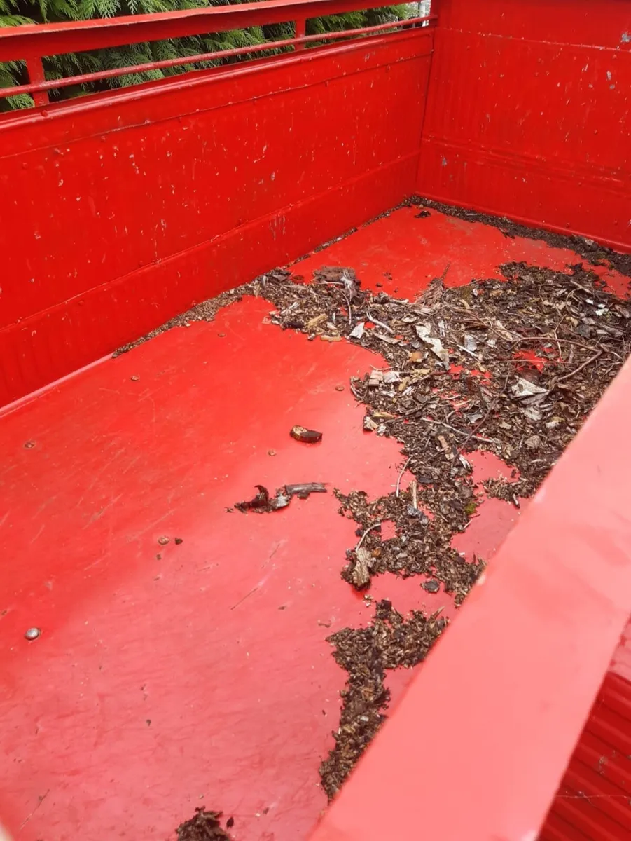 Trailer - Image 1