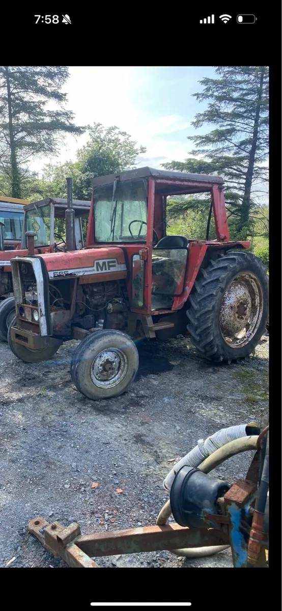 Massey Ferguson 565 - Image 2